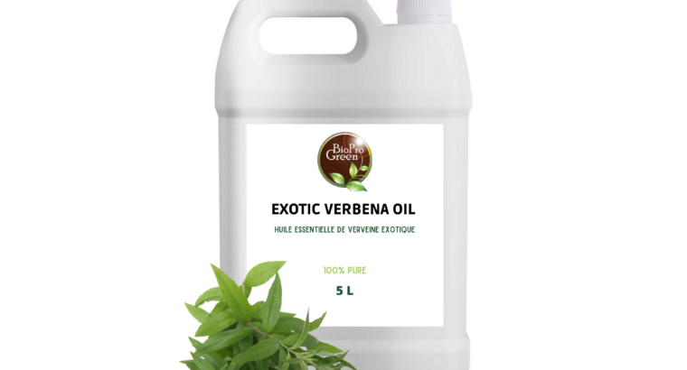 Stock en gros d’huile de verveine exotique